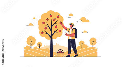 Farmer picking ripe apples from a tree in a sunny orchard, harvest season concept