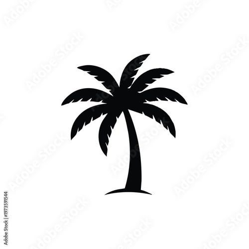 Black Palm Tree Silhouette Icon on White Background