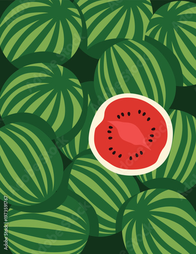 watermelon vector illustration