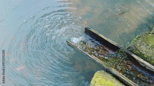 Flowing water and ripples in a mossy stone channel