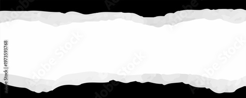 Ripped paper, space for copy EPS 10