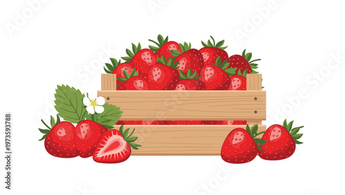 Wooden crate overflowing with fresh red strawberries with a single sliced berry and green leaves in front on a white background.