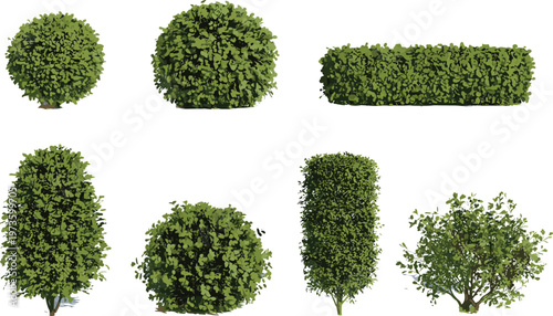 Realistic green bushes and hedge plants set, garden landscaping shrubs collection, natural foliage elements, outdoor decoration vector illustration pack