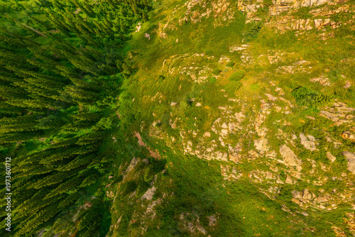 Konstfotografi Aerial view captures majestic mountains and lush forest in Kyrgyzstan