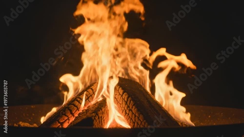 Close-up of vibrant campfire flames dancing on logs at night, warm orange glow