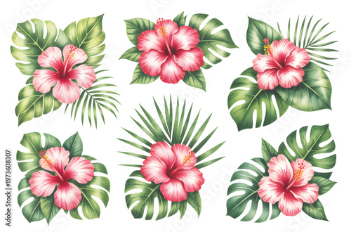 Tropical hibiscus flower arrangements watercolor set, hand painted botanical compositions with monstera and palm leaves isolated.