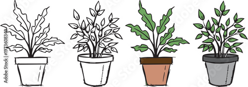 Foto Set of 4 Hand Drawn Potted Houseplants with Outline and Colored Sketch Variation