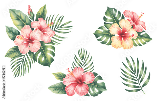 Tropical hibiscus flower arrangements watercolor set, hand painted botanical compositions with monstera and palm leaves isolated.