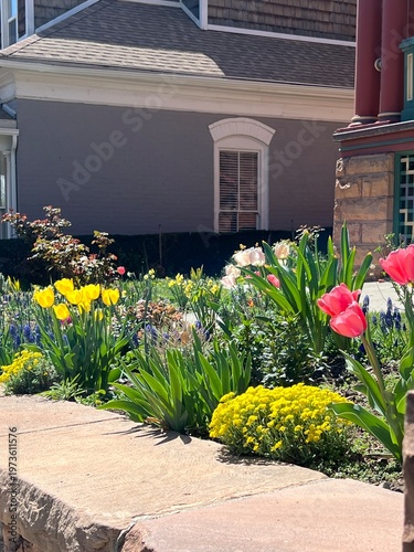 beautiful spring garden, colorful flowers in a xeriscape landscape