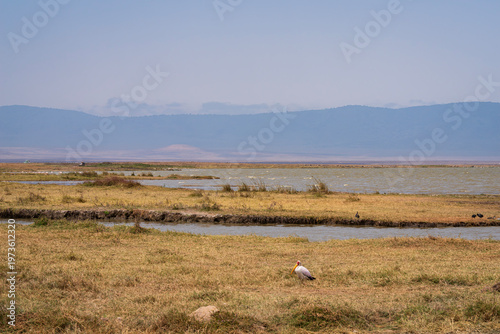 savanna surrounding lake magadi and mountains on horizon at ngorongoro crater national park in tanzania