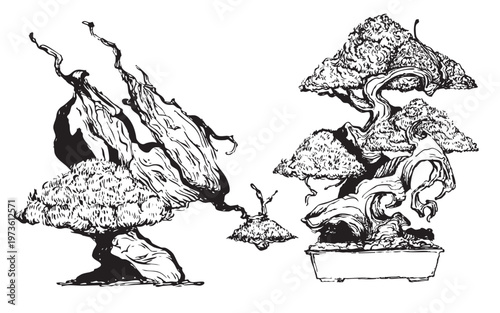 Hand-drawn bonsai trees with sculpted branches illustration