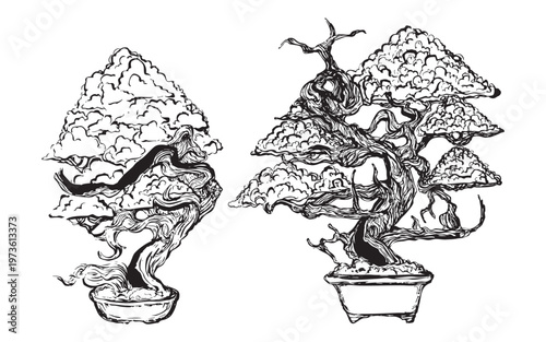 Hand-drawn bonsai trees with sculpted branches illustration