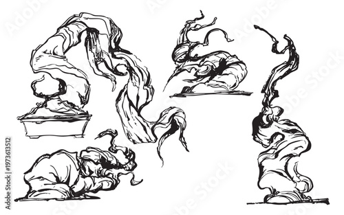 Hand-drawn bonsai trees with sculpted branches illustration