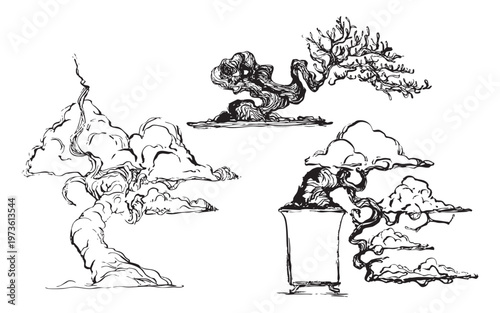 Hand-drawn bonsai trees with sculpted branches illustration