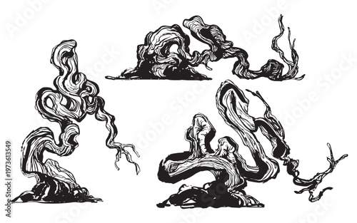 Hand-drawn bonsai trees with sculpted branches illustration