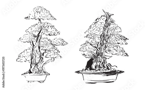 Hand-drawn bonsai trees with sculpted branches illustration
