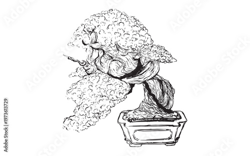 Hand-drawn bonsai trees with sculpted branches illustration