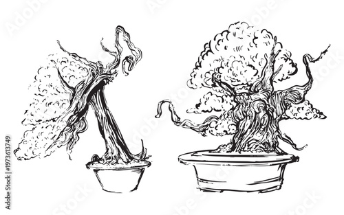 Hand-drawn bonsai trees with sculpted branches illustration