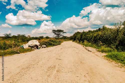 Dirt Road Through Savanna Landscape with Acacia Tree, Syokimau, Kenya