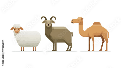 Flat vector livestock collection, stylized farm animals set with sheep, goat, and camel. Minimalist desert and meadow fauna icons on white background.