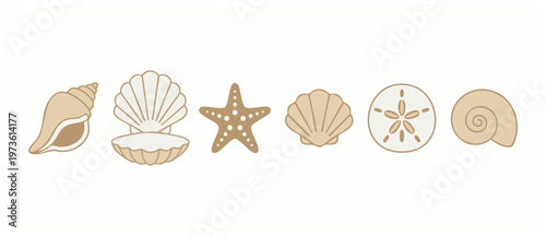 Seashells Starfish Sand Dollar Beach Marine Life Collection, minimalist illustration of various beige coastal ocean shells, isolated on white background for summer vacation themes.