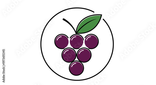 Fresh Grapes with Green Leaf, Healthy Fruit Illustration on Isolated White Background