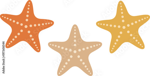 Starfish set vector illustration, colorful sea stars marine life flat design collection