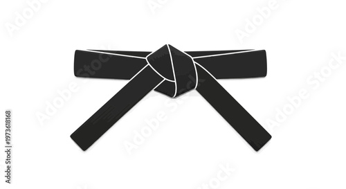 Black Belt in Martial Arts Symbolizing Mastery and Discipline.