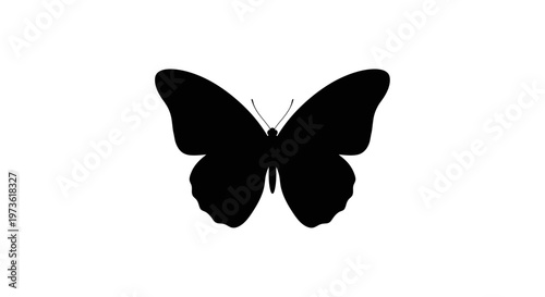 Black butterfly silhouette with wings spread.