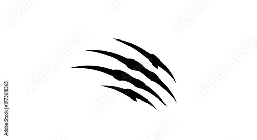 Black claw marks on white background.