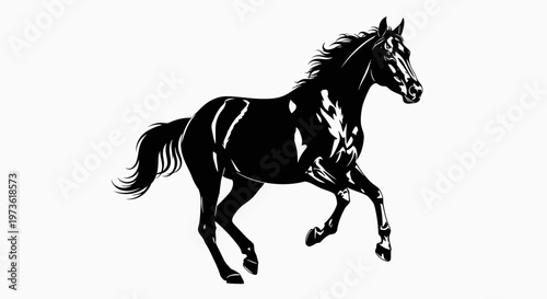 Black Horse Running Fast Freely Galloping.