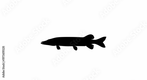 Black silhouette of a fish swimming.