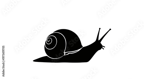 Black Silhouette of a Snail Crawling Slowly on a White Background.