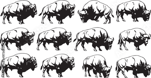 Black and white bison silhouettes walking in various directions