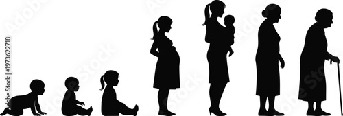 Human life cycle stages of a woman from baby and childhood to pregnancy motherhood middle age and senior elderly years