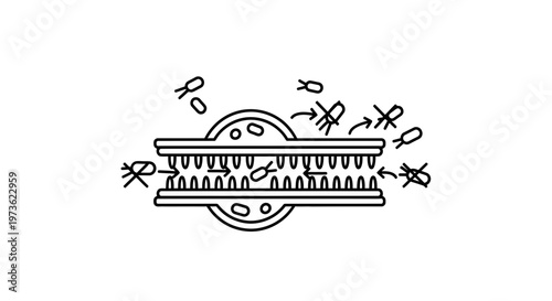 DNA Replication Process: Unraveling Genetic Code with Enzymes and Molecules