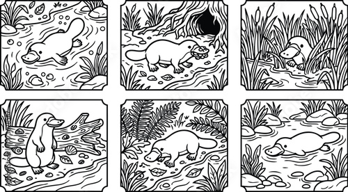 Colorbook style vector art of platypus in natural habitat various poses swimming walking and resting among plants detailed line art illustrations for coloring