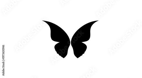Elegant Black Butterfly Wings Isolated on White Background.