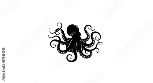 Intricate black octopus illustration with swirling tentacles.