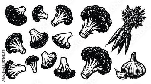 Fresh broccoli florets with carrots and garlic bulbs vector elements.