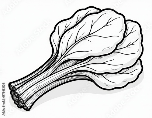 Fresh organic vegetables and fruits harvested from local farm