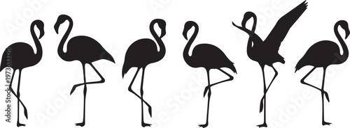 Pink Flamingo Bird Silhouettes Set in Various Poses