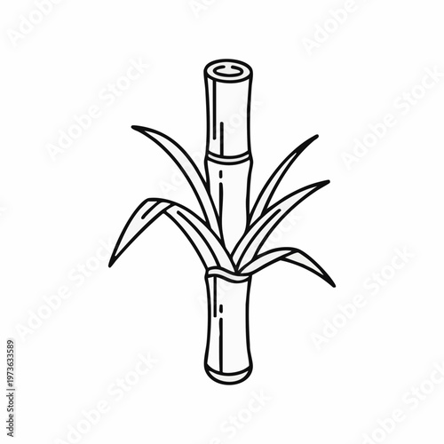 Minimalist Sugarcane Stalk Line Art Vector Illustration