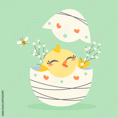 A happy chick that just hatched