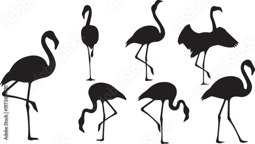 Flamingo Silhouette Set - Tropical Bird Poses and Stances