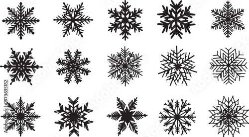 Collection of unique black snowflakes on white background illustration