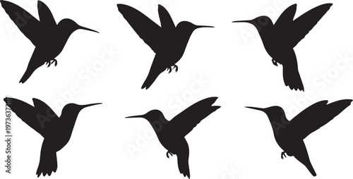 Hummingbird Silhouette Set, Flying Small Bird Vector Icons