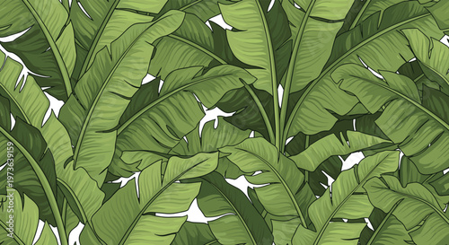 Seamless and repetitive pattern of lush green banana leaves overlapping each other to create a dense tropical foliage background for design.