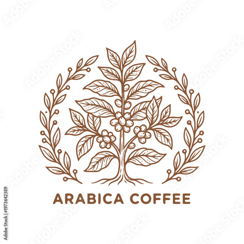 Arabica coffee plant illustration with beans flowers leaves and branches in a circular wreath design