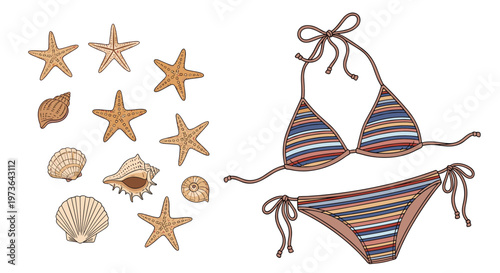 Summer vacation theme illustration featuring a striped bikini set alongside multiple starfish and assorted seashells.